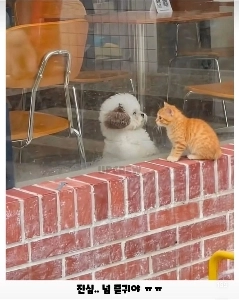 세상 무해한 투샷