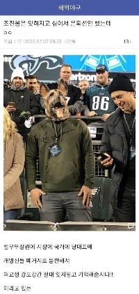 조진웅 현재 상황이라는 글.jpg