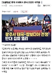 싱글벙글 국내에서 조용해진 새끼들