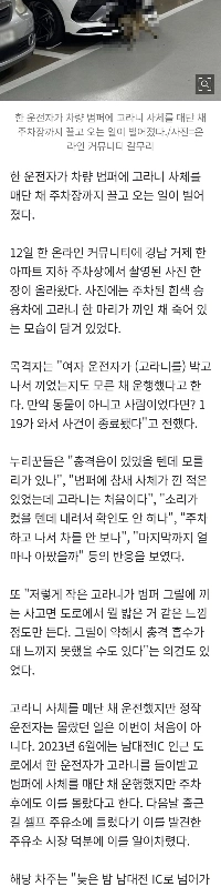 범퍼에 고라니 사체 낀 채 달린 운전자.jpg