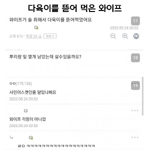 술취한 와이프가 다육이를 뜯어 먹었어요 jpg.