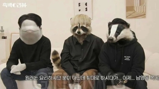 벨루가, 너구리, 오소리.jpg