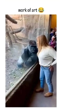 욱일기를 만드는 고릴라.gif