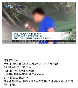 계곡 백숙이 근절되지 않는 이유