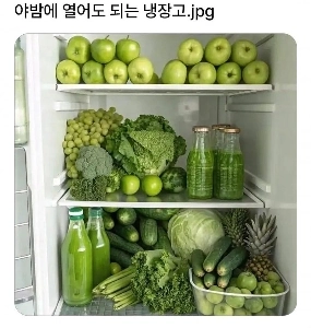 야밤에 열어도 된다는 냉장고