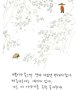 거북이 이야기