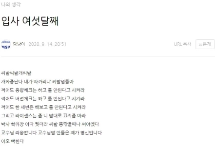 신입사원 6개월간의 변화