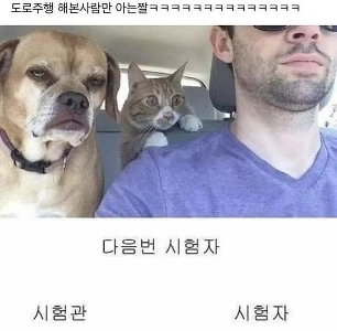 도로주행 해 본 사람만 아는 짤