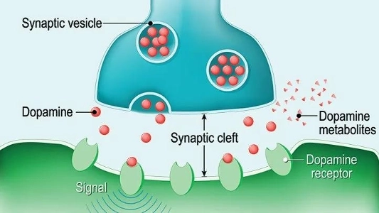 우리 모두가 도파민 디톡스를 해야하는 이유