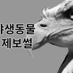 나의 군대 이야기 ( 야생동물 제보썰 ) manhwa