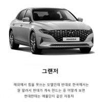 한국에서만 인기가 많은 자동차