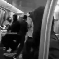 [영상] 흑인 남성이 아시아인 무차별 폭행..결국 혼절