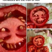 악마의 토마토