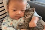 아기와 아기 고양이
