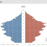 대한민국 인구 피라미드 근황.
