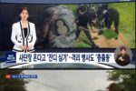 ""사단장 온다'' 잔디 심기에 격리 병사 총출동
