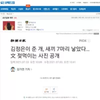 조선일보 기사제목.jpg(feat.보배 댓글 장인)