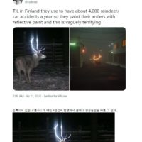 핀란드 야생동물 보호방법