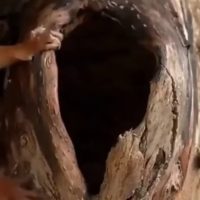 다람쥐 구멍 관찰