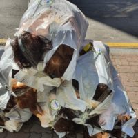 미용실 학원 앞 쓰레기봉투들