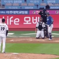 실시간 한국 야구 벤치클리어링.gif