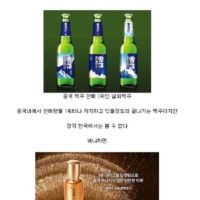 중국 맥주 1위가 한국에 진출을 못하는 이유