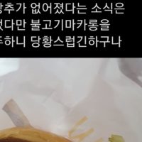 맥도날드 신제품 불고기 마카롱