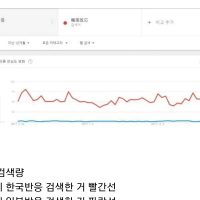 구글 검색량 일본반응 vs 한국반응