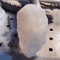 얼음 조각상.
