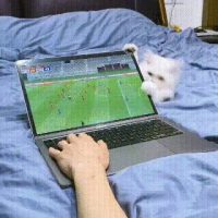 주인의 노트북을 고쳐주는 고양이.gif