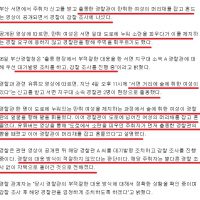 "부산 경찰, 만취 여성 머리채 잡고 흔들어"…감찰 조사