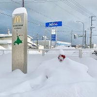 맥도날드 일본 최북단 지점 근황.jpg
