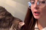 (SOUND)러시아 누나의 고양이 교육