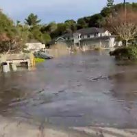 (SOUND)통가 쓰나미로인해 비없이 홍수나고있는 캘리포니아.gif