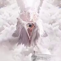 오싹오싹 성경속에 묘사된 천사 실제모습