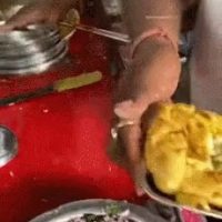 인도 길거리 명물 샌드위치 튀김...GIF