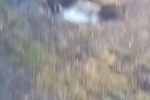 (SOUND)러시아가 우크라이나에 떨아뜨린 진공폭탄 폭발 영상