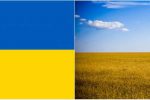 우크라이나 국기의 유래