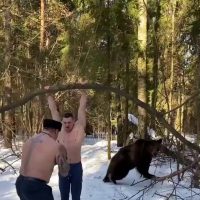 (SOUND)눈 내린 설산에서 사람샌드백이 맞으면서 운동하고 곰은 푸쉬업하는 영상