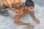 잠수 연습 도와주는 강아지