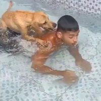 잠수 연습 도와주는 강아지