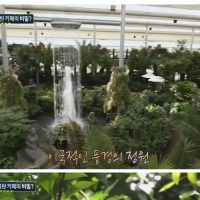 경기도의 핫한 식물원 카페 근황.silhwa