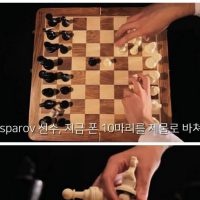 의외로 체스에서 하면 안되는 전략