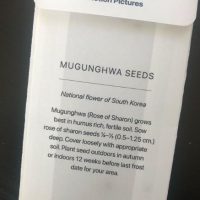 애플, '파친코' 미국 시사회에서 무궁화 씨앗 넣은 티켓 선물