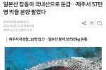 일본산 참돔이 국내산으로 둔갑…제주서 57만명 먹을 분량 팔렸다