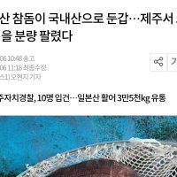 일본산 참돔이 국내산으로 둔갑…제주서 57만명 먹을 분량 팔렸다