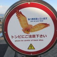 일본 관광지 섬에 새 주의 표지판이 있는 이유.gif