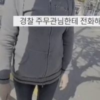 구청 지시로 세월호 현수막 철거하는 사람들