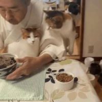 일본 스님의 밥 먹기