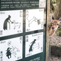 일본 사슴 공원 경고문